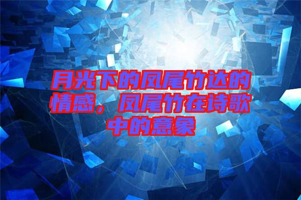 月光下的鳳尾竹達(dá)的情感，鳳尾竹在詩歌中的意象