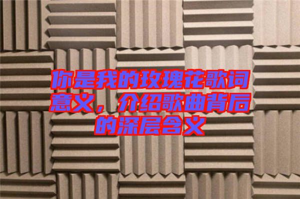 你是我的玫瑰花歌詞意義，介紹歌曲背后的深層含義