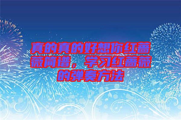 真的真的好想你紅薔薇簡譜，學(xué)習(xí)紅薔薇的彈奏方法