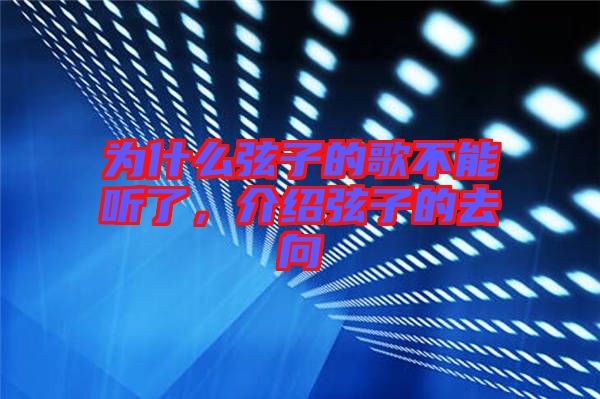 為什么弦子的歌不能聽了，介紹弦子的去向