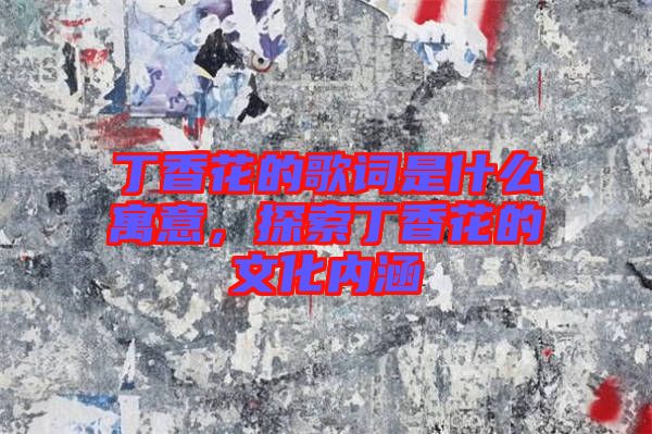 丁香花的歌詞是什么寓意，探索丁香花的文化內(nèi)涵