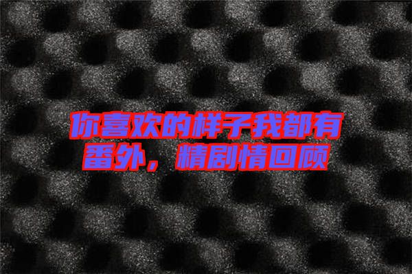 你喜歡的樣子我都有番外，精劇情回顧
