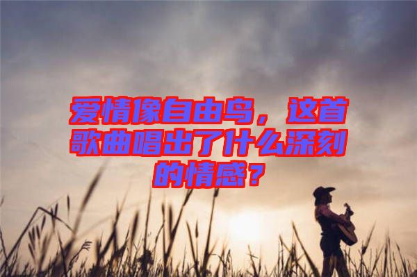 愛情像自由鳥，這首歌曲唱出了什么深刻的情感？