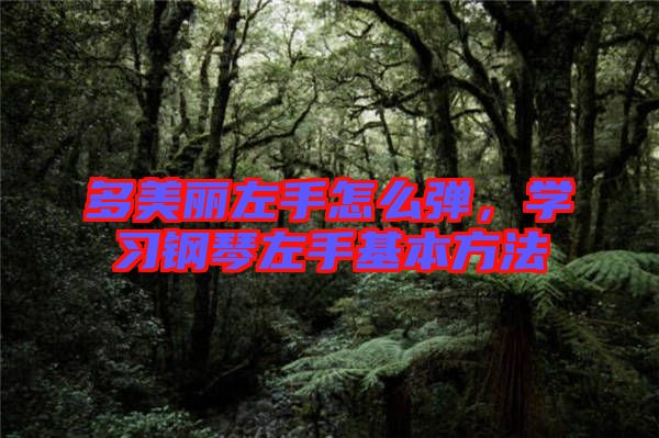 多美麗左手怎么彈，學(xué)習(xí)鋼琴左手基本方法