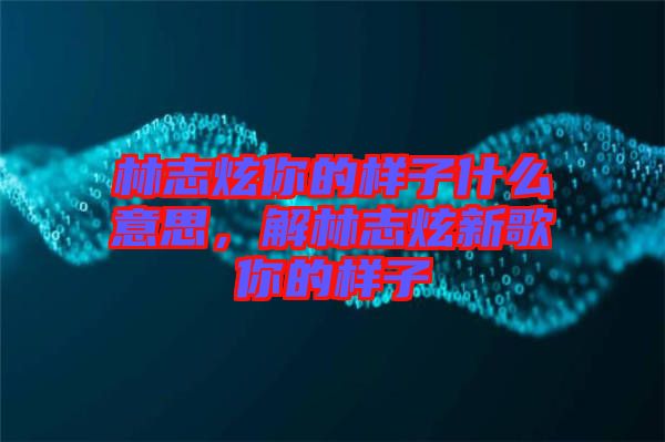 林志炫你的樣子什么意思，解林志炫新歌你的樣子