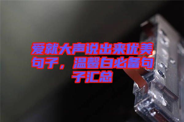 愛(ài)就大聲說(shuō)出來(lái)優(yōu)美句子，溫馨白必備句子匯總