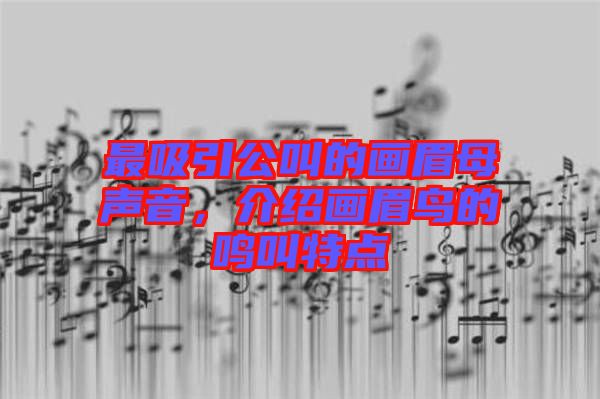 最吸引公叫的畫眉母聲音，介紹畫眉鳥的鳴叫特點(diǎn)