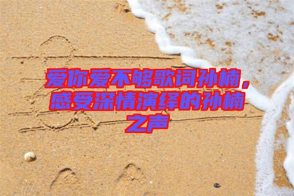 愛你愛不夠歌詞孫楠，感受深情演繹的孫楠之聲