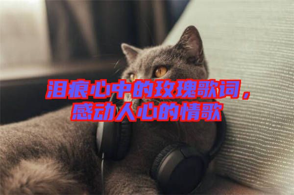 淚痕心中的玫瑰歌詞，感動人心的情歌