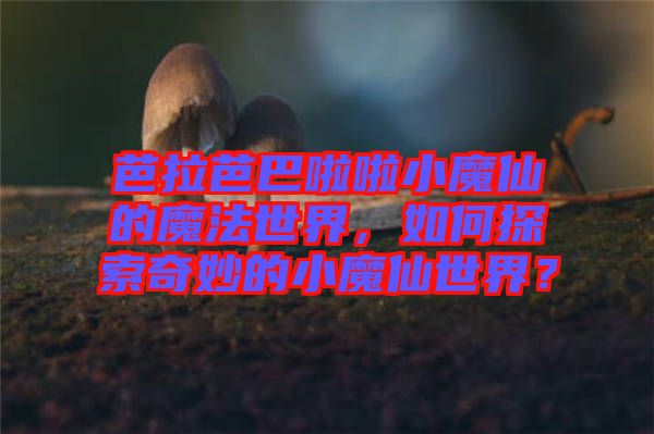 芭拉芭巴啦啦小魔仙的魔法世界，如何探索奇妙的小魔仙世界？
