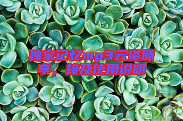 獨(dú)家記憶mp3云資源享，接及使用說(shuō)明