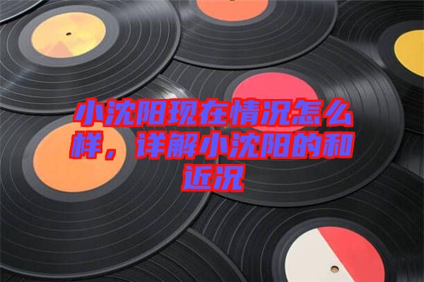 小沈陽現(xiàn)在情況怎么樣，詳解小沈陽的和近況