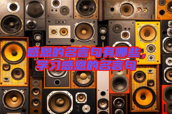 感恩的名言句有哪些，學(xué)習(xí)感恩的名言句