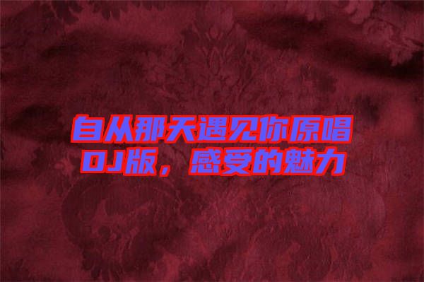自從那天遇見(jiàn)你原唱DJ版，感受的魅力