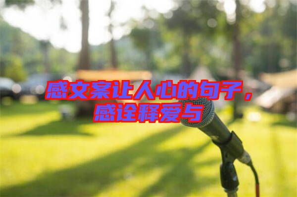 感文案讓人心的句子，感詮釋愛與