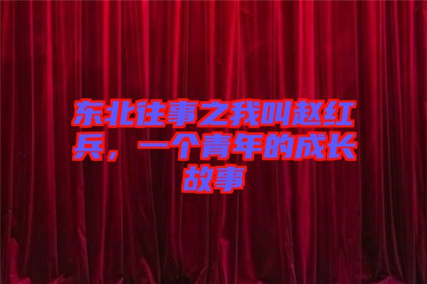 東北往事之我叫趙紅兵，一個(gè)青年的成長(zhǎng)故事