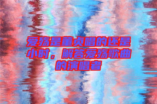 愛(ài)殤是董貞唱的還是小時(shí)，解答愛(ài)殤歌曲的演唱者