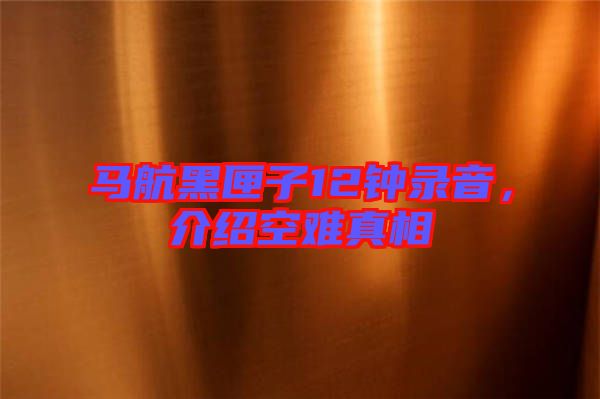 馬航黑匣子12鐘錄音，介紹空難真相