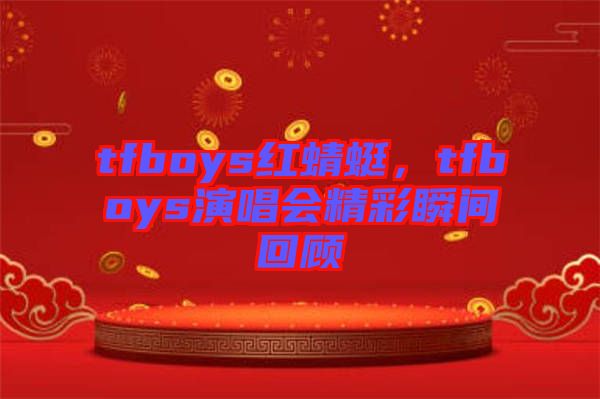 tfboys紅蜻蜓，tfboys演唱會精彩瞬間回顧