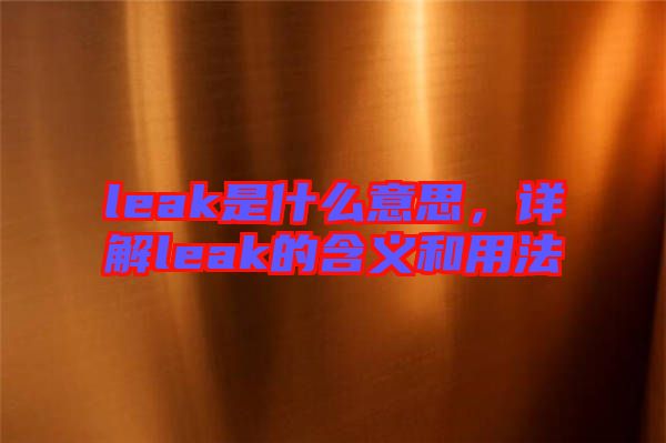 leak是什么意思，詳解leak的含義和用法