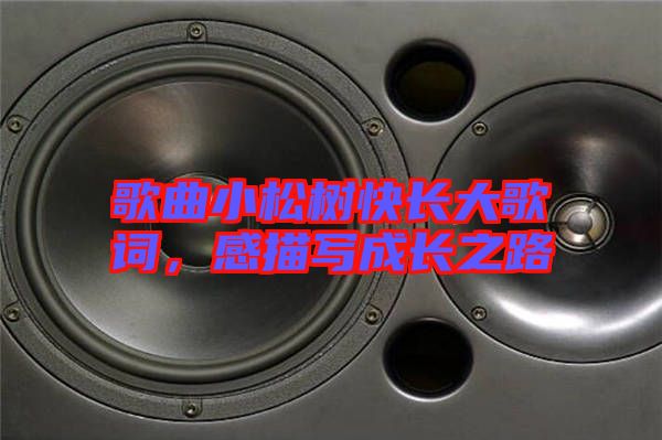 歌曲小松樹快長大歌詞，感描寫成長之路