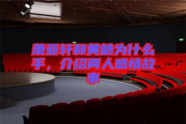 蕭亞軒和黃皓為什么手，介紹兩人感情故事