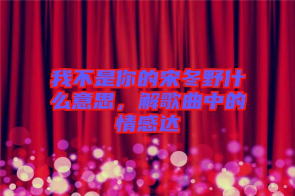 我不是你的宋冬野什么意思，解歌曲中的情感達