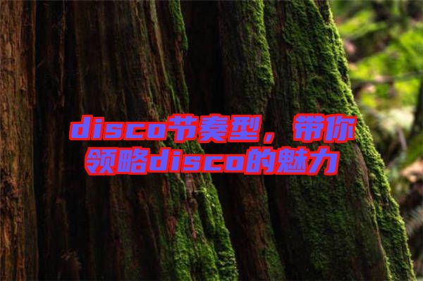 disco節(jié)奏型，帶你領略disco的魅力