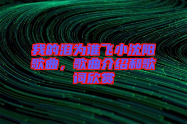 我的淚為誰飛小沈陽歌曲，歌曲介紹和歌詞欣賞