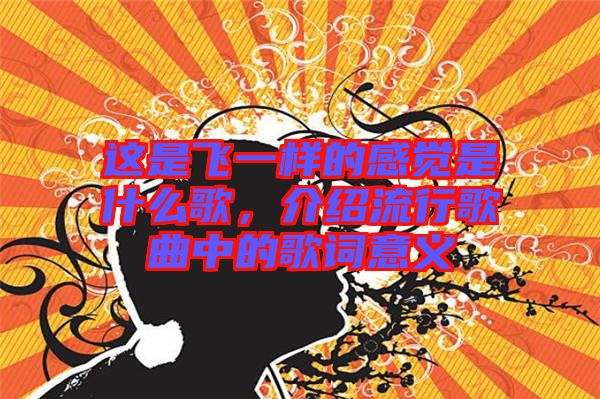 這是飛一樣的感覺是什么歌，介紹流行歌曲中的歌詞意義