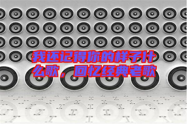 我還記得你的樣子什么歌，回憶經(jīng)典老歌