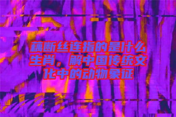 藕斷絲連指的是什么生肖，解中國傳統(tǒng)文化中的動物象征