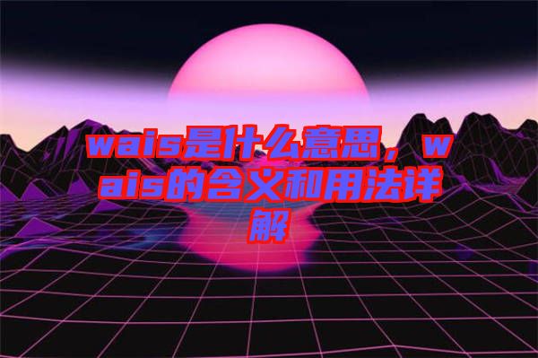 wais是什么意思，wais的含義和用法詳解