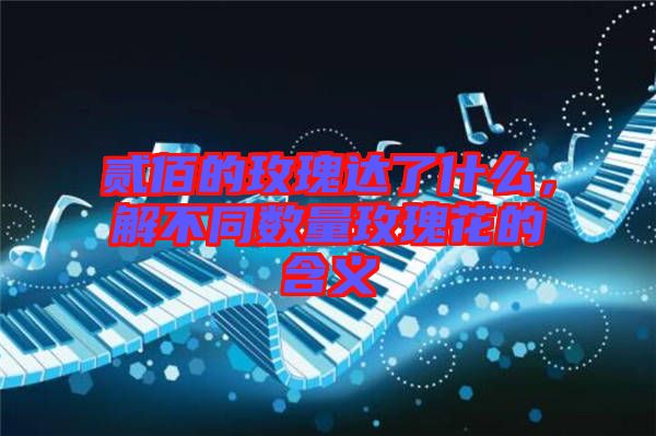 貳佰的玫瑰達(dá)了什么，解不同數(shù)量玫瑰花的含義