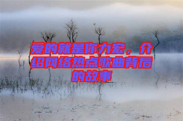 愛的就是你力宏，介紹網(wǎng)絡(luò)熱點(diǎn)歌曲背后的故事