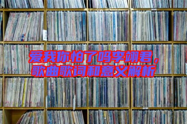 愛我你怕了嗎李翊君，歌曲歌詞和意義解析