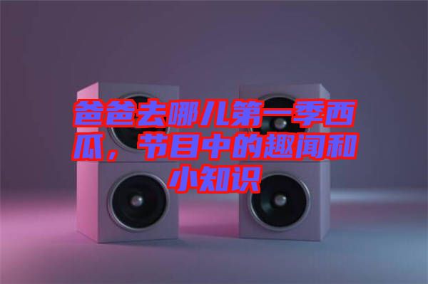 爸爸去哪兒第一季西瓜，節(jié)目中的趣聞和小知識(shí)