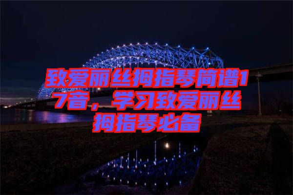 致愛麗絲拇指琴簡譜17音，學(xué)習(xí)致愛麗絲拇指琴必備