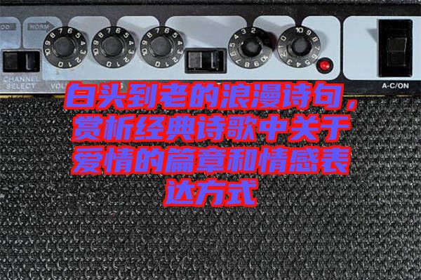 白頭到老的浪漫詩句，賞析經(jīng)典詩歌中關(guān)于愛情的篇章和情感表達方式