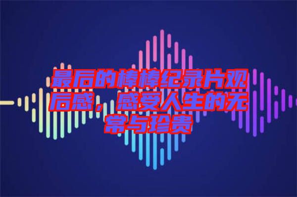 最后的棒棒紀(jì)錄片觀后感，感受人生的無(wú)常與珍貴