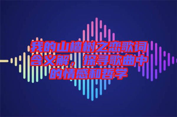 我的山楂樹之戀歌詞含義解，探尋歌曲中的情感和哲學