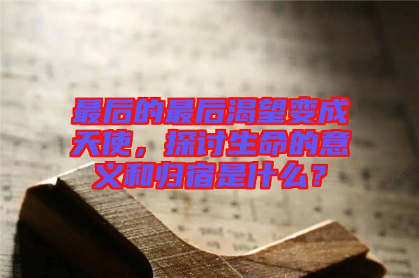 最后的最后渴望變成天使，探討生命的意義和歸宿是什么？