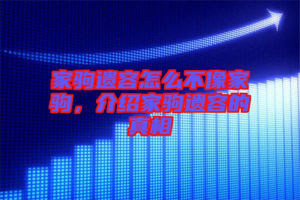 家駒遺容怎么不像家駒，介紹家駒遺容的真相