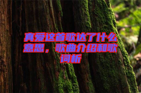 真愛(ài)這首歌達(dá)了什么意思，歌曲介紹和歌詞析