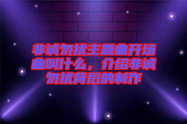 非誠勿擾主題曲開場曲叫什么，介紹非誠勿擾背后的制作