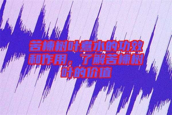 苦楝樹葉煮水的功效和作用，了解苦楝樹葉的價(jià)值