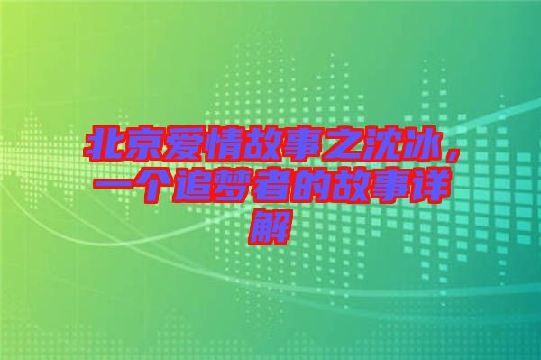 北京愛情故事之沈冰，一個(gè)追夢者的故事詳解
