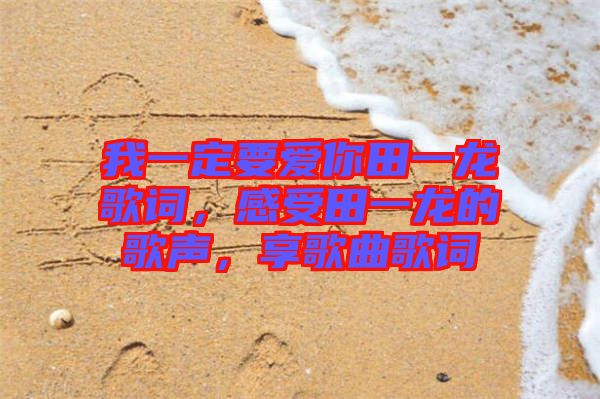 我一定要愛(ài)你田一龍歌詞，感受田一龍的歌聲，享歌曲歌詞