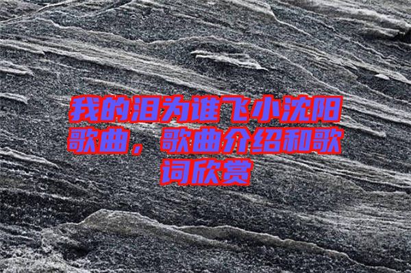 我的淚為誰(shuí)飛小沈陽(yáng)歌曲，歌曲介紹和歌詞欣賞