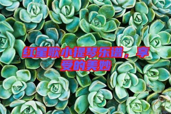 紅星歌小提琴樂譜，享受的美妙